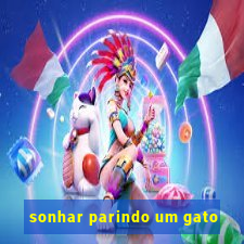 sonhar parindo um gato