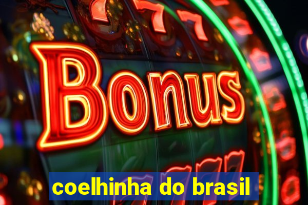 coelhinha do brasil