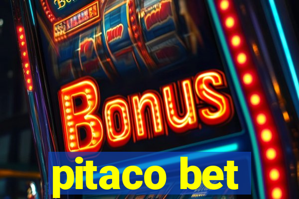 pitaco bet