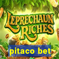 pitaco bet