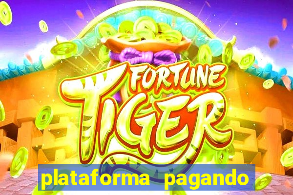 plataforma pagando no cadastro tigre