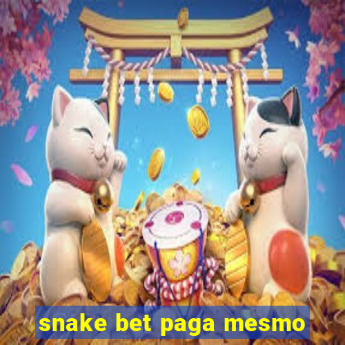 snake bet paga mesmo