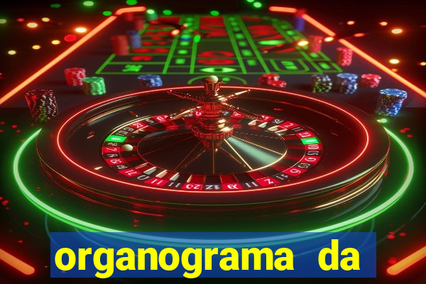 organograma da cacau show