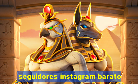 seguidores instagram barato