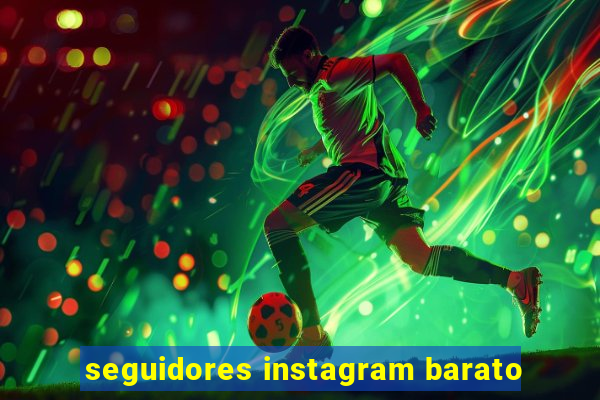 seguidores instagram barato