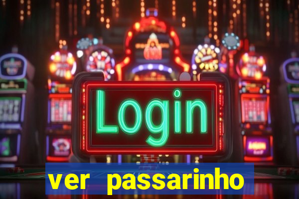 ver passarinho morto significado