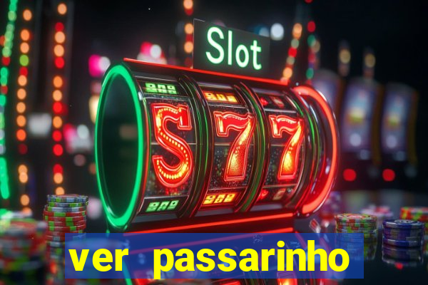 ver passarinho morto significado