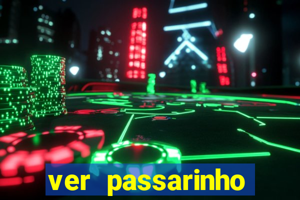 ver passarinho morto significado