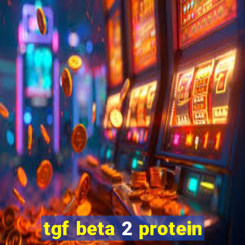 tgf beta 2 protein