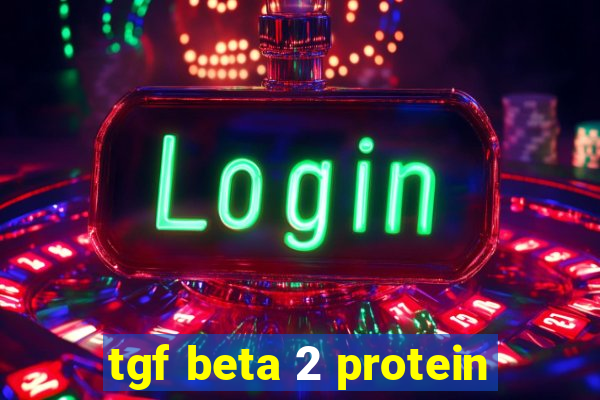 tgf beta 2 protein