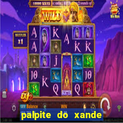 palpite do xande de hoje