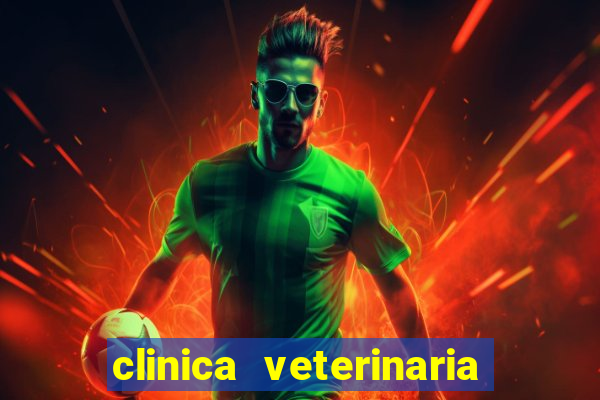 clinica veterinaria cuidar betim