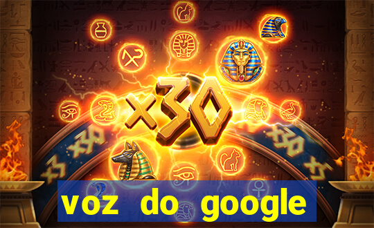 voz do google tradutor homem