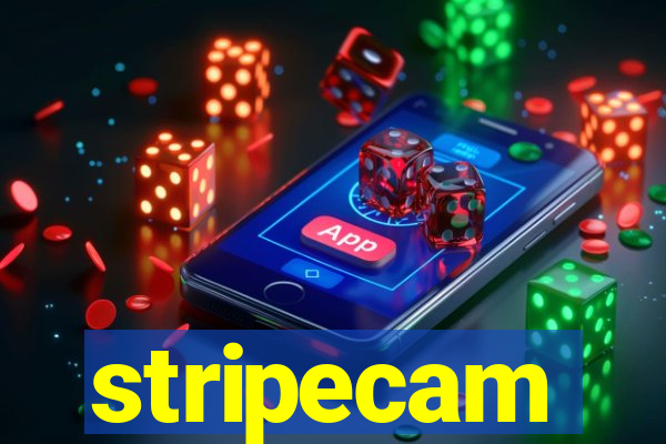 stripecam