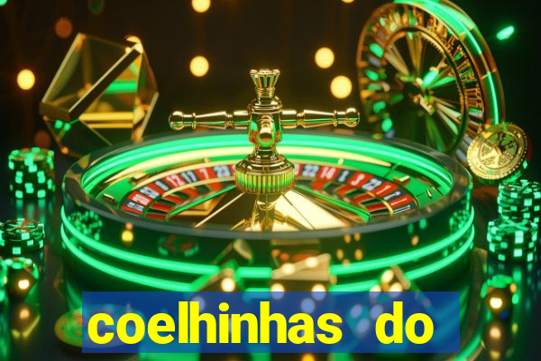 coelhinhas do brasil acompanhantes