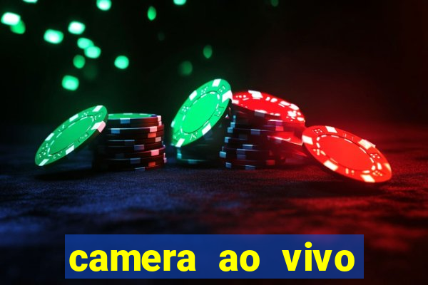 camera ao vivo terminal vila nova cachoeirinha