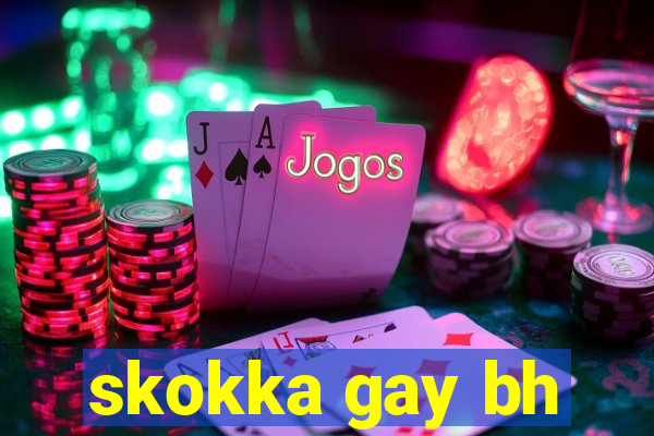 skokka gay bh