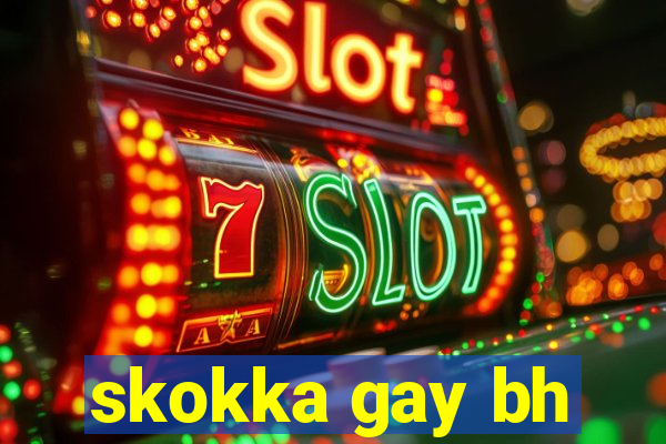 skokka gay bh