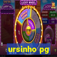 ursinho pg