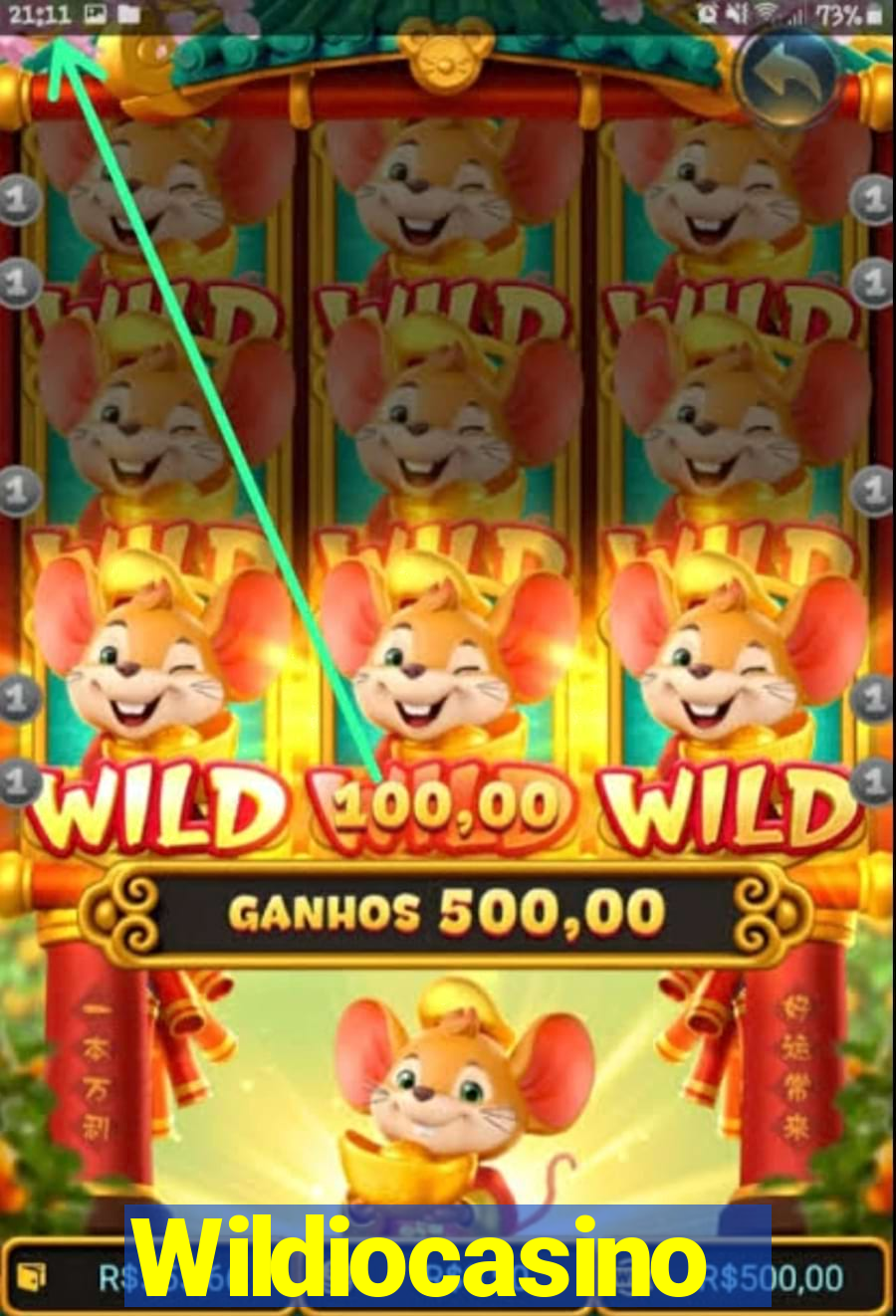 Wildiocasino