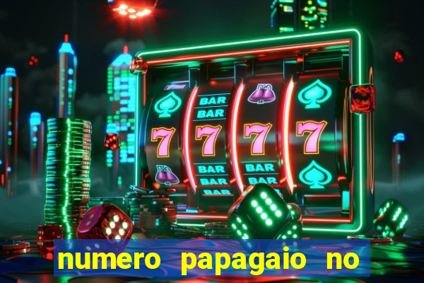 numero papagaio no jogo do bicho