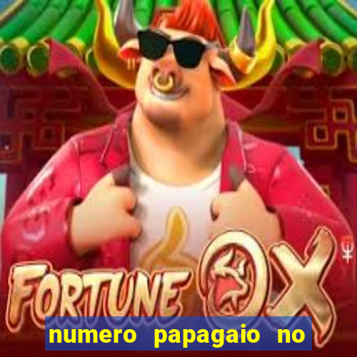 numero papagaio no jogo do bicho