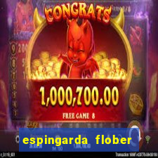 espingarda flober calibre 22