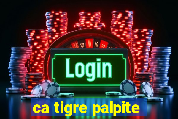 ca tigre palpite