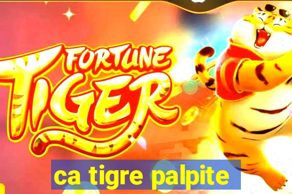 ca tigre palpite