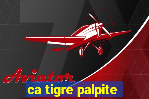 ca tigre palpite