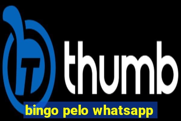 bingo pelo whatsapp