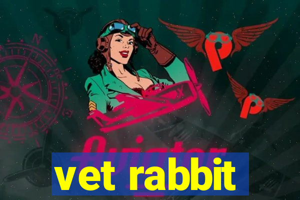 vet rabbit