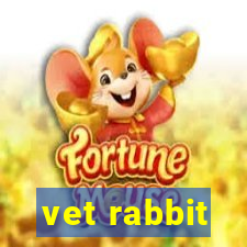 vet rabbit