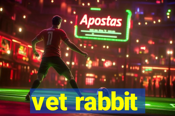 vet rabbit