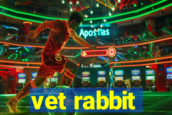 vet rabbit