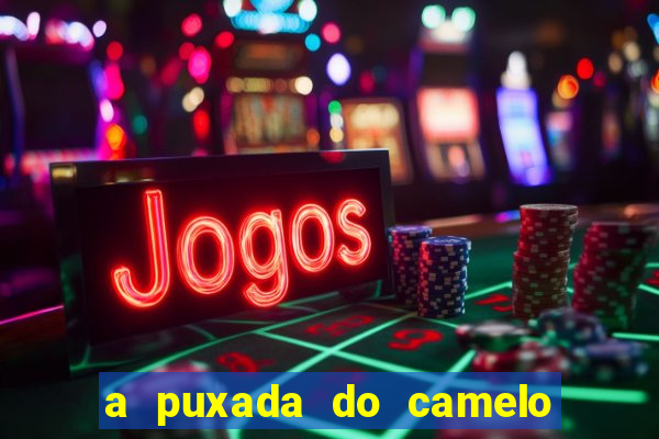 a puxada do camelo no jogo do bicho