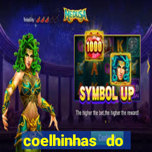 coelhinhas do brasil jp