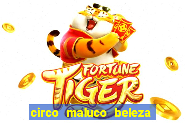 circo maluco beleza recife circo maluco