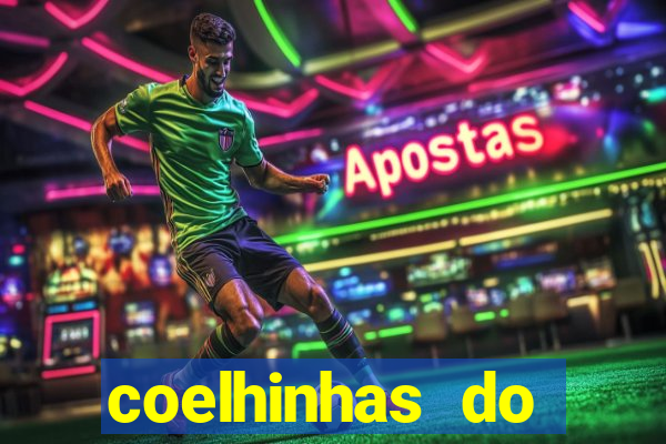 coelhinhas do brasil recife