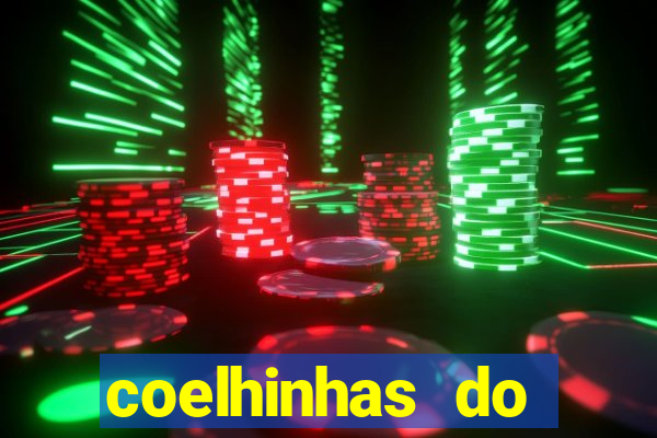 coelhinhas do brasil recife