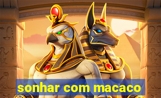 sonhar com macaco