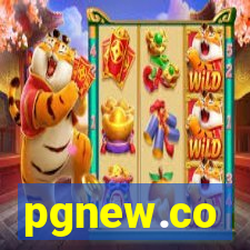 pgnew.co