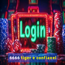 6666 tiger e confiavel