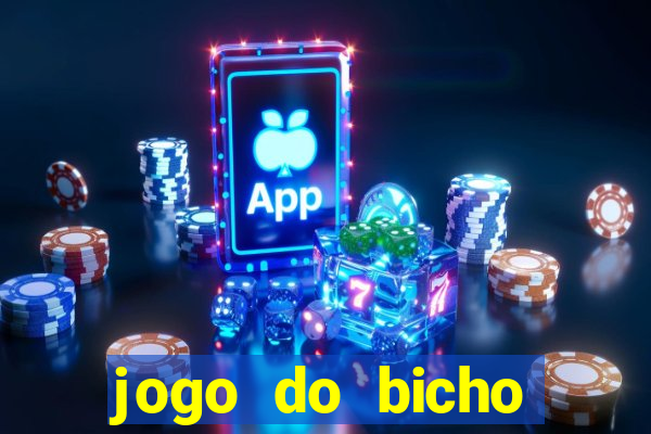 jogo do bicho crash bingo