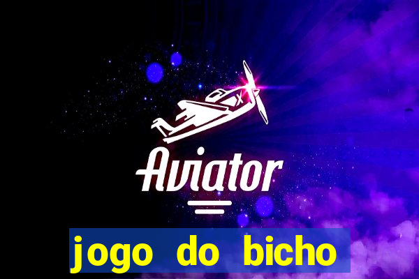 jogo do bicho crash bingo