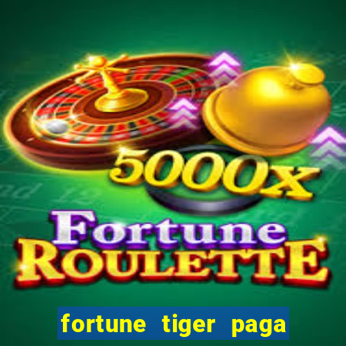 fortune tiger paga de madrugada