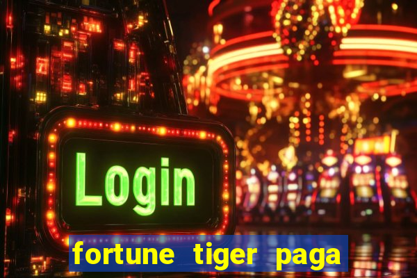 fortune tiger paga de madrugada