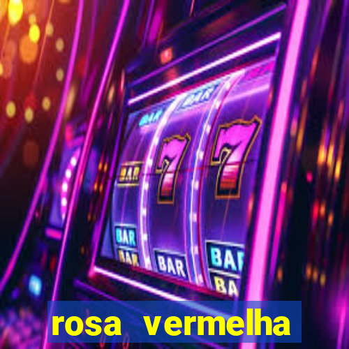 rosa vermelha (letra e cifra)