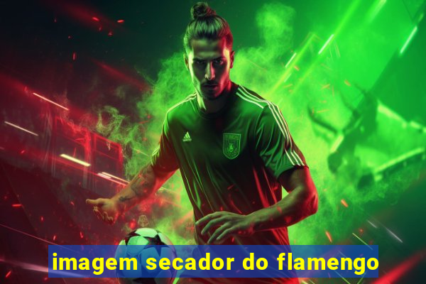 imagem secador do flamengo