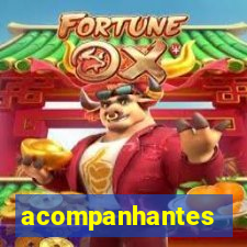 acompanhantes chamada de video